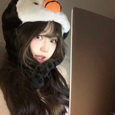 大盗贺钦布龙兹